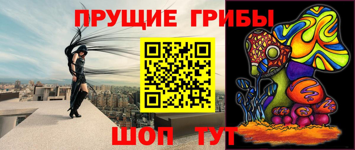 Псилоцибиновые грибы Magic Shrooms Пушкино