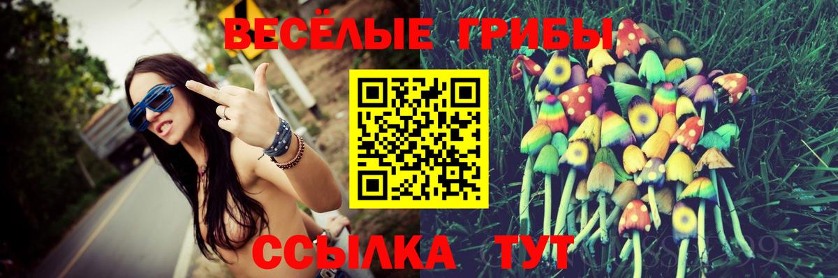 Пушкино  Псилоцибиновые грибы Cubensis  где купить наркоту  Галлюциногенные грибы ЛСД  Вход с VPN 